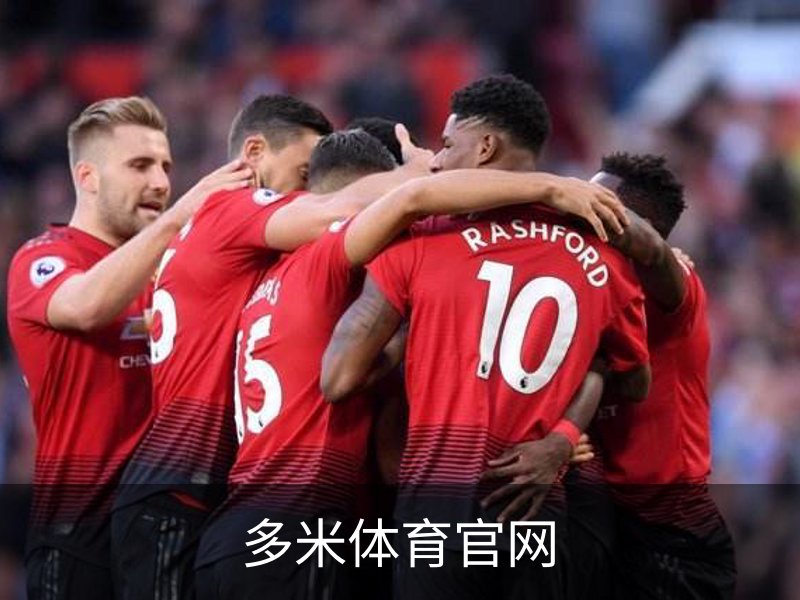 多米体育官网简介